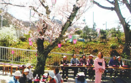 お花見